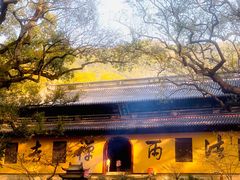 -普陀山风景名胜区-法雨禅寺