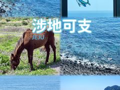 -涉地可支