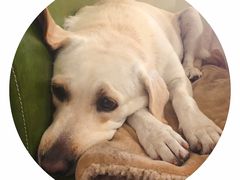 景观位-朕悦鹧鸪饭私房菜