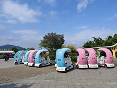 -芒洲湿地公园