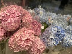 -盒马X会员店(上海森兰商都店)