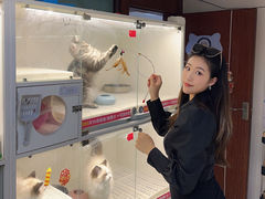 -lincat·猫舍(广州店)