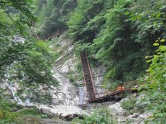 -青峰峡国家森林公园