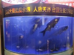 -潇湘码头·鲜湘菜(清河店)