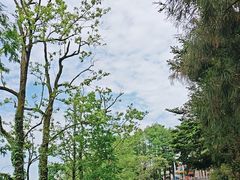 -莫干山风景区