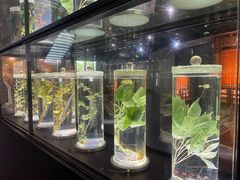 -广东中医药博物馆