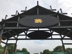 -荷塘月色湿地公园·向阳花洲
