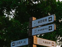 -芒洲湿地公园