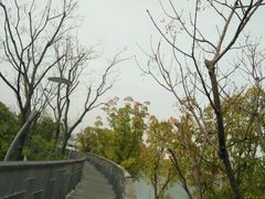-白马涧龙池景区