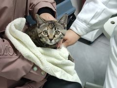 -达爱动物医院·犬猫分区·CT·复杂眼科(远洋山水分院)