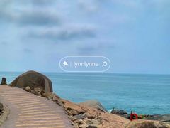 -广东惠东海龟国家级自然保护区