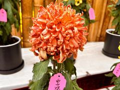 -上海大学(宝山校区)