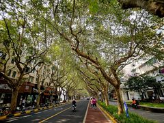 -一尺花园(安和花园店)