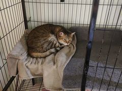 -H立方实景剧情密室(天河旗舰店)