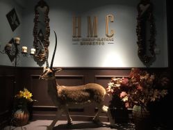 -HMC美容按摩SPA馆