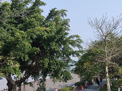 -白城沙滩