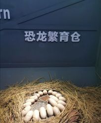 -恐龙探索乐园(磁器口店)