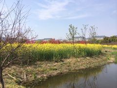 -江南大学(蠡湖校区)