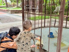 -西双版纳融创皇冠假日度假酒店