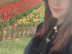 -荷兰花海