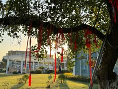 -府河摄影公园