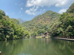 -祁门牯牛降观音堂风景区