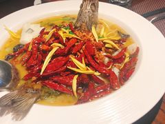 金汤酸菜海鲈鱼-肴约·花园式餐厅(湖里店)