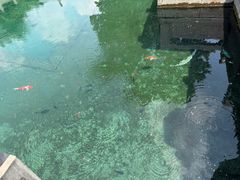-百脉泉景区