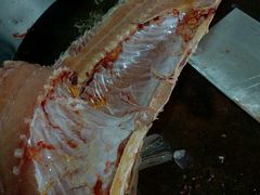 野生鲤鱼-林上生态鱼园