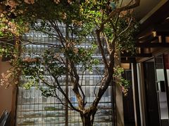 -星·South Beauty·俏江南(国贸店)