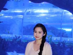 -石家庄极地海洋世界