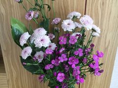 -王朝圣地温泉酒店-中餐厅