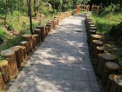 -白水寺森林公园