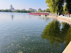 -莲花池公园