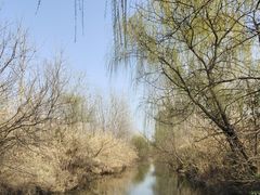 -溱湖国家湿地公园