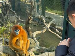 -宁波野生动物园