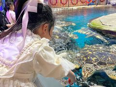 -海合安武汉极地海洋公园