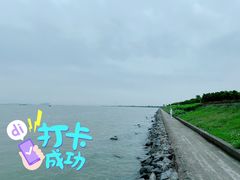-海鸥岛
