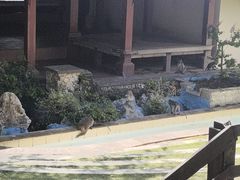-乌鲁瓦图寺
