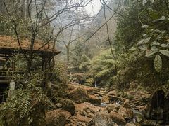-青城山