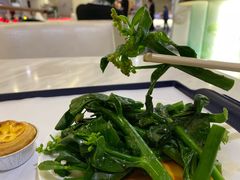 -南航明珠v2头等舱公务舱休息室