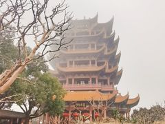 -黄鹤楼公园(黄鹤楼)