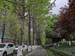 -龙头寺公园