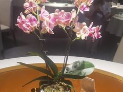 -一江水食府(后湖店)