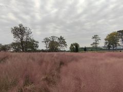 -汉长安城未央宫国家考古遗址公园