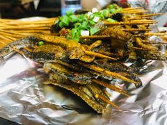 鳝鱼-晓靖轩烧烤(沙河风情店)
