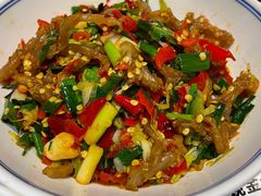 鸭掌筋-壹盏灯(惠农店)