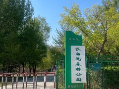 -长白岛森林公园