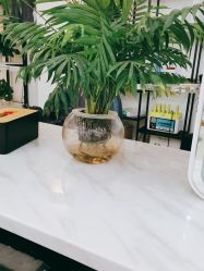 -原素造型