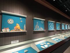 -青岛贝壳博物馆